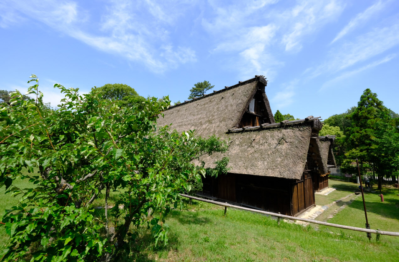 Hattori Ryokuchi Arboretum, Toyonaka, Japan, Japan